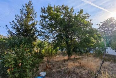 Teren de 1030 mp, în Chiroiu-Pământeni - 9