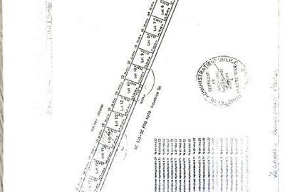 Teren de 631 mp, în Cernica - 2