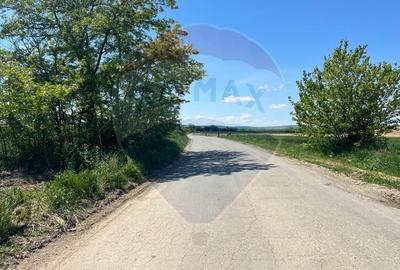 Casă individuală cu 5 camere cu Teren 4788 Mp în Filipești - 5