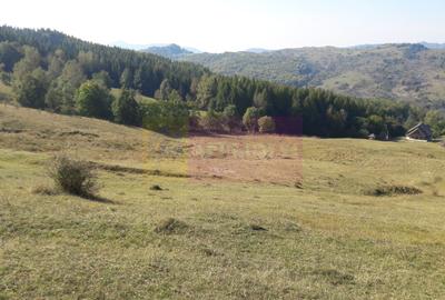 Teren agricol intravilan de 9037 mp, în Plaiul Tălii - 3