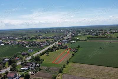 Teren intravilan de 1.900 mp | Decebal | La doar 3,5 km de Satu Mare - 8