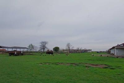 Teren de 100800 mp, în Sud - 2