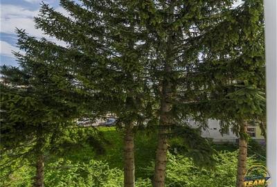 Apartament 3 camere, etaj2, loc parcare, Astra, Brasov - 7