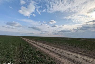 Teren de 300 mp, în Vărăști - 6