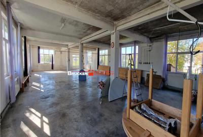 HALA INDUSTRIALA | GHENETEA - 9