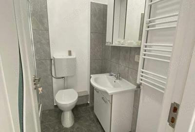 Garsonieră în Dumbrăvița - 10