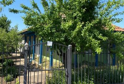 Casă cu 4 camere în Băneasa