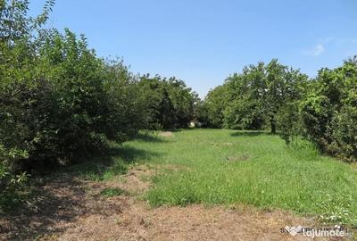 Teren de 17777 mp, în Central - 11