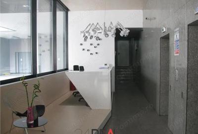 Spațiu comercial, de 441 mp, în Romană - 12