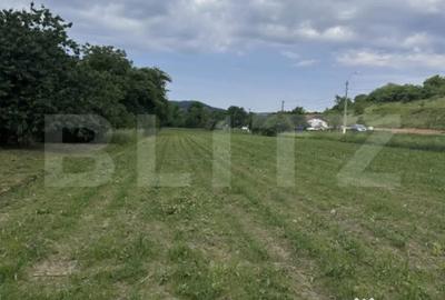 Teren de 5800 mp, în Dej