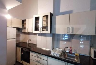 Apartament cu o camera, semidecomandat, pet friendly, loc de parcare, Calvaria - 3