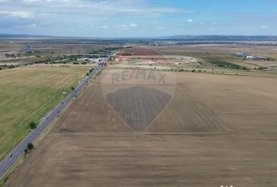 Teren de 27500 mp, în Tișița - 1