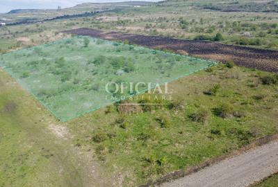 Teren de 864 mp, în Chinteni