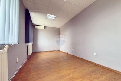 Spațiu industrial, de 6,132 mp, în Aradul Nou - 15