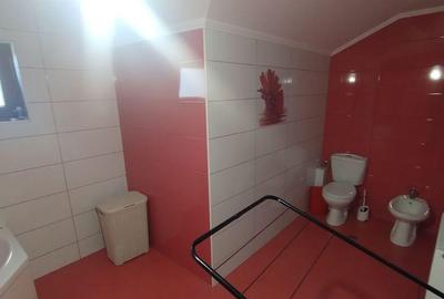 Casa caramida cu placa de beton, Valu lui Traian - 1