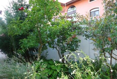 Vila piscina superba gradina matura cu iesire directa la padure - 24