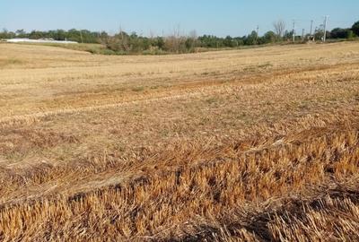 Teren de 5800 mp, în Ghimpați - 4