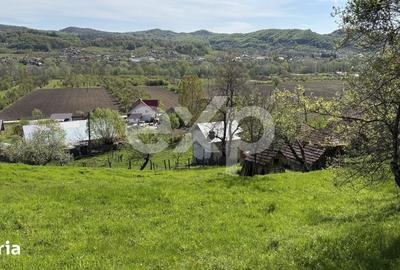 Teren de 14613 mp, în Tigveni - 5