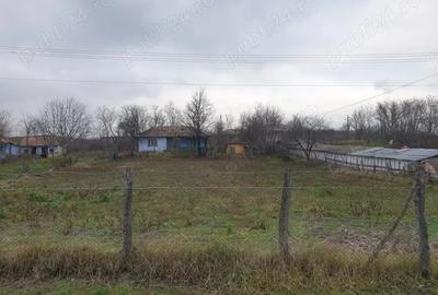 Casa batraneasca de vanzare Casa batraneasca de vanzare - 2