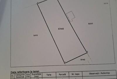 Teren de 6285 mp, în Tărian - 3