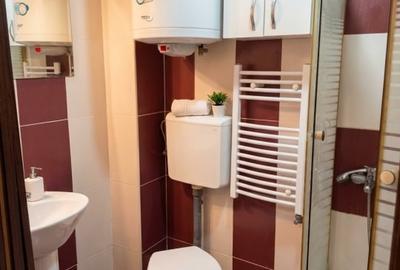 Garsonieră decomandată, mobilată în Pantelimon - 4