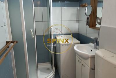 Garsonieră semidecomandată, mobilată în Liviu Rebreanu - 6