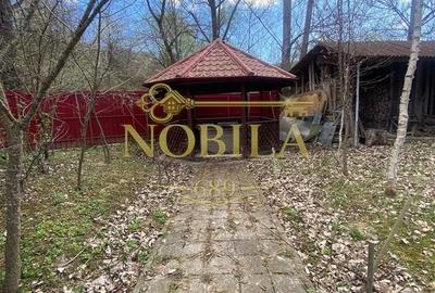 Casă cu 10 camere cu Teren 1332 Mp în Mănăstirea Cașin - 14