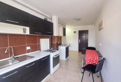 Apartament cu 3 camere semidecomandat, mobilat în Tilișca - 4