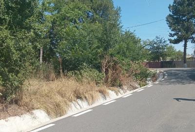 Casă cu 2 camere în Răsmirești - 2