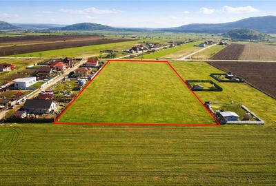 Teren Construcții intravilan de 18188 mp, în Exterior Est - 1