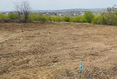 Teren de 100 mp, în Vișan - 1