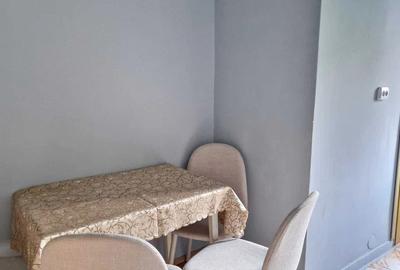 Apartament cu 3 camere decomandat, mobilat în Mănăștur - 5