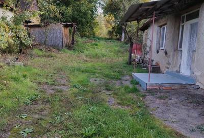 Vand casa in satul Derni?oara,jud. Bihor - 5