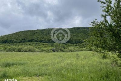 Teren de 650 mp, în Poplaca - 1
