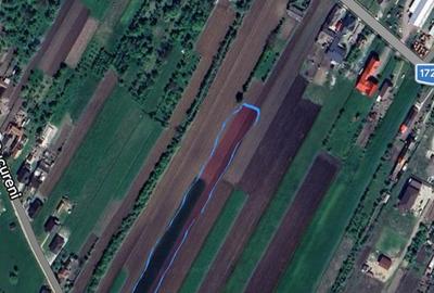 Teren de 5000 mp, în Arcalia - 1