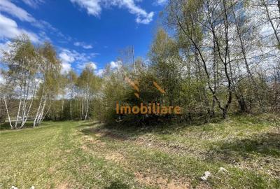 Teren de 103000 mp, în Șuncuiuș - 2