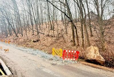 Teren intravilan de 24880 mp, în Griviței - 10