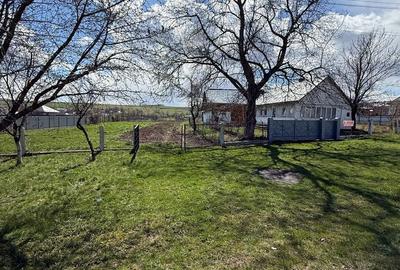 Casă cu 2 camere cu Teren 2125 Mp în Șcheia - 8