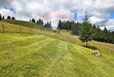 Teren de vis in Fundata 3868mp, la inal?imea sufletului tau - 5