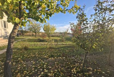 Casa 3 camere si curte cu pomi fructiferi - 14