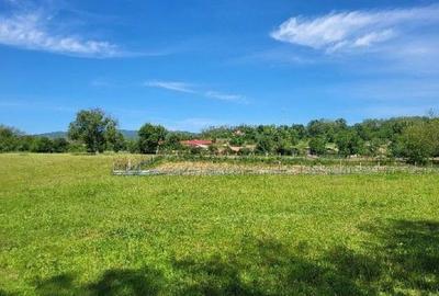 Teren de 1743 mp, în Tisău - 7
