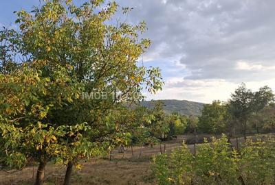 Teren spectaculos cu padure, livada si priveliste panoramica in Soimari PH - 15
