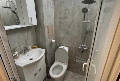 Garsoniera prima chirie Pta Alba Iulia - Muncii DB1319 - 8