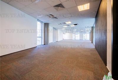 Spatiu de Birouri de 363 mp in Zona Herastrau - 2