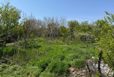 Casă cu 4 camere în Gura Vadului - 4