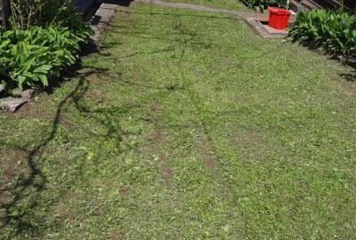 Casă cu 3 camere cu Teren 1822 Mp în Ghelari - 4