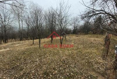 Teren intravilan in Breaza,1358 mp, 40.000e - 12