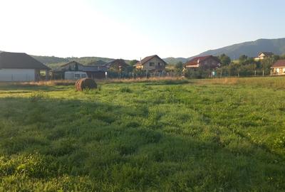 Teren intravilan  |  821 mp | de vanzare- Tocile-Sadu - 6