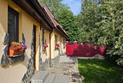 Vand casa 3 camere ARIUSD - 14