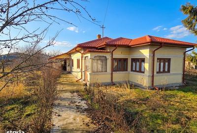 Casă cu 7 camere cu Teren 4500 Mp în Hotarele - 5